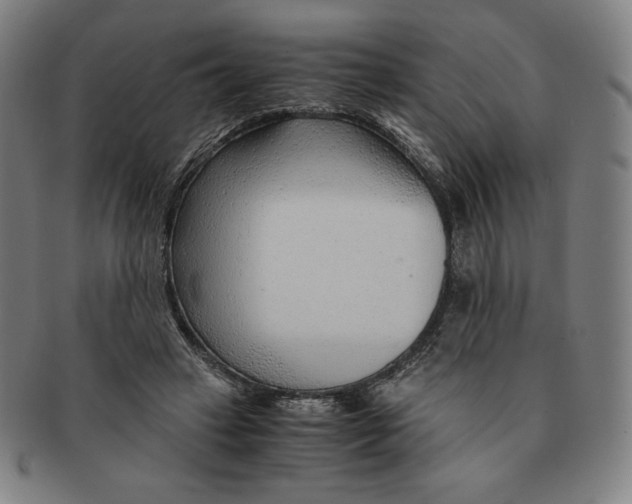 X0000090960449200708301207