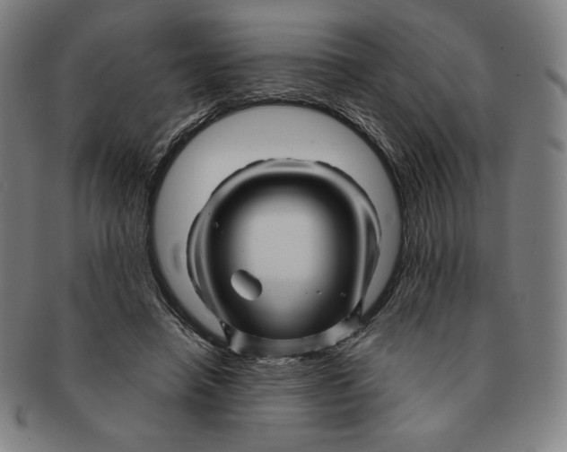 X0000090960450200708301207