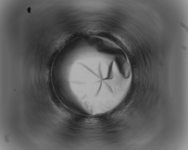 X0000090960451200708301207