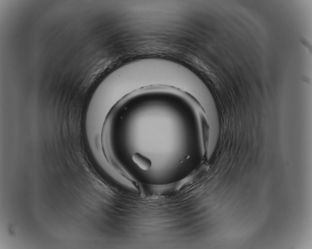 X0000090960452200708301207