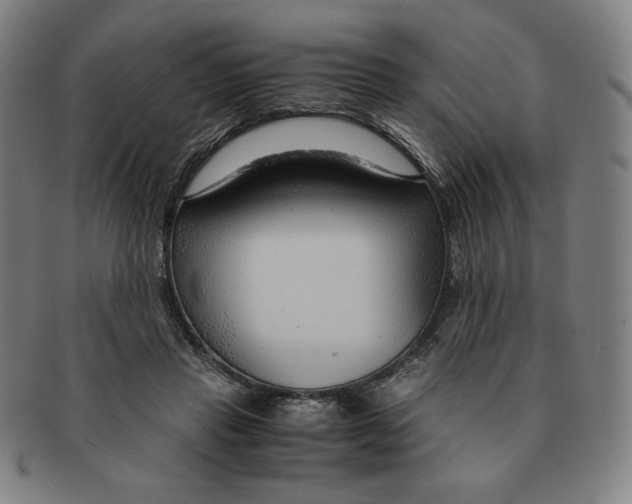 X0000090960453200708301207