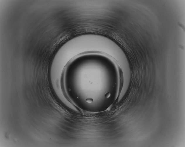 X0000090960454200708301207