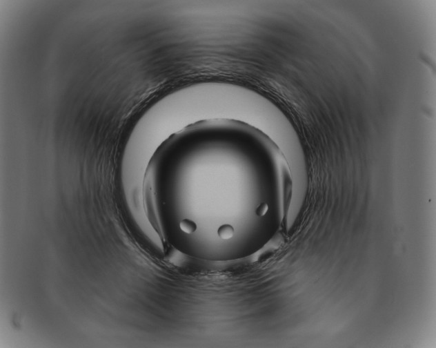 X0000090960456200708301207