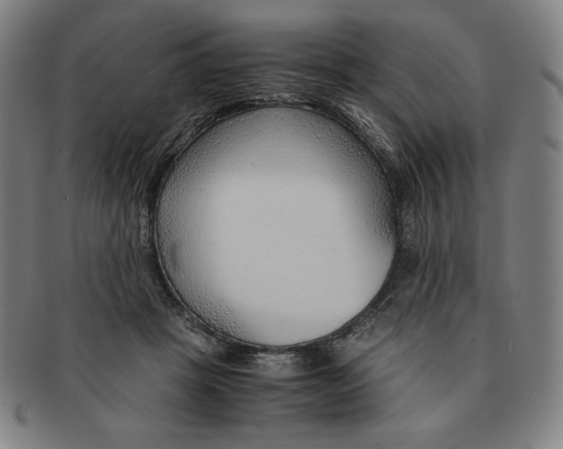 X0000090960457200708301207