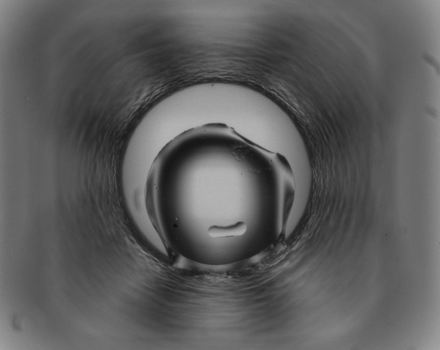 X0000090960458200708301207