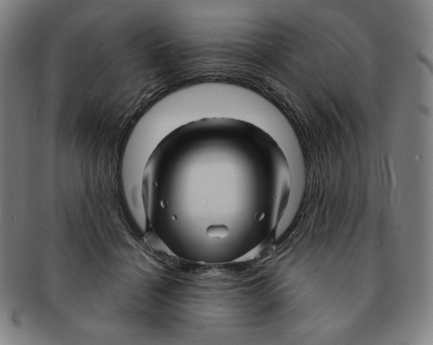 X0000090960460200708301207