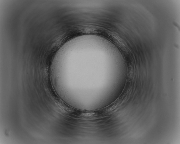 X0000090960461200708301207