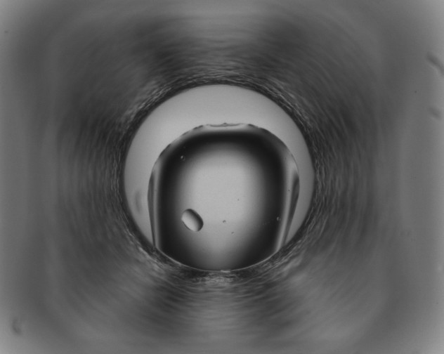 X0000090960462200708301207