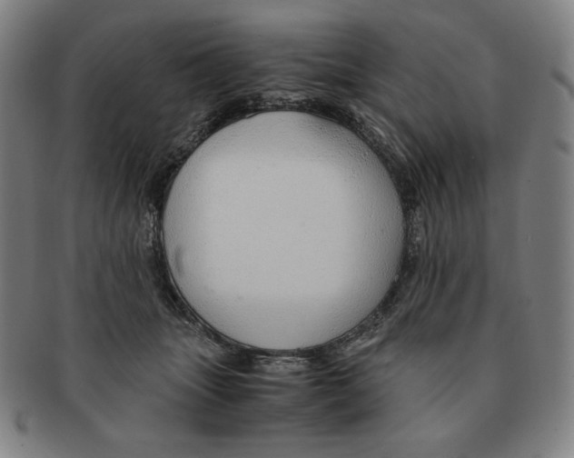 X0000090960463200708301207