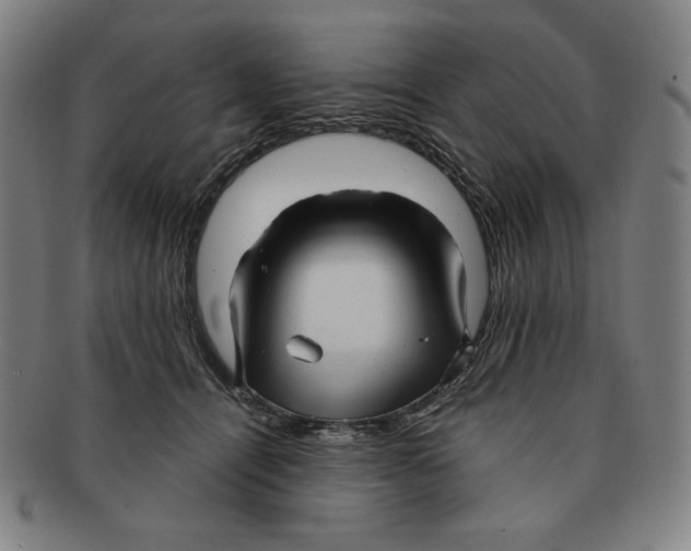 X0000090960464200708301207