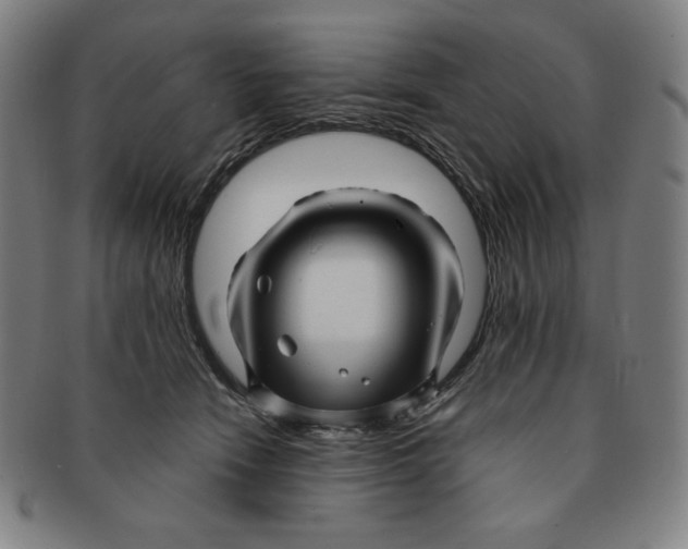 X0000090960466200708301207