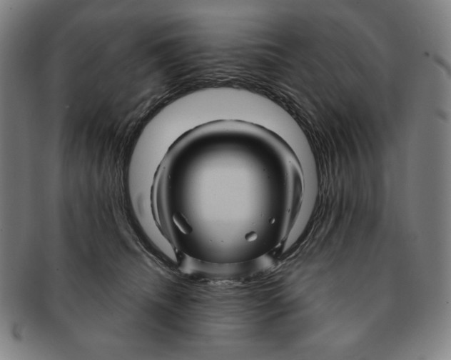 X0000090960468200708301207