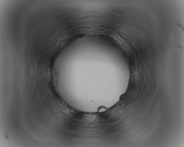 X0000090960469200708301207