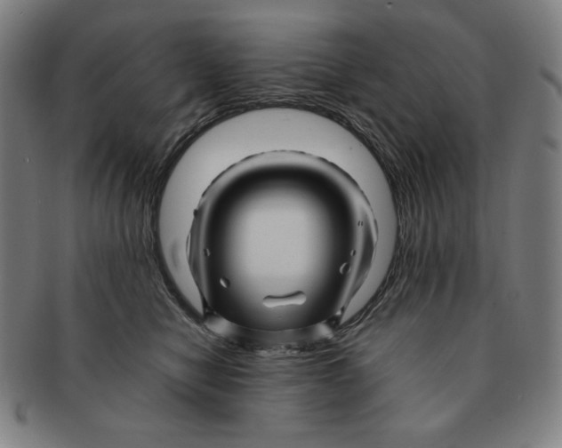 X0000090960470200708301207