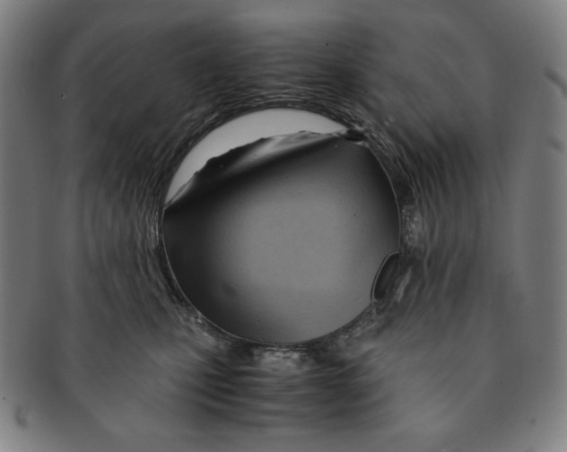 X0000090960471200708301207