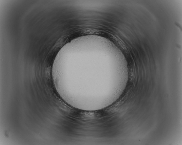 X0000090960473200708301207