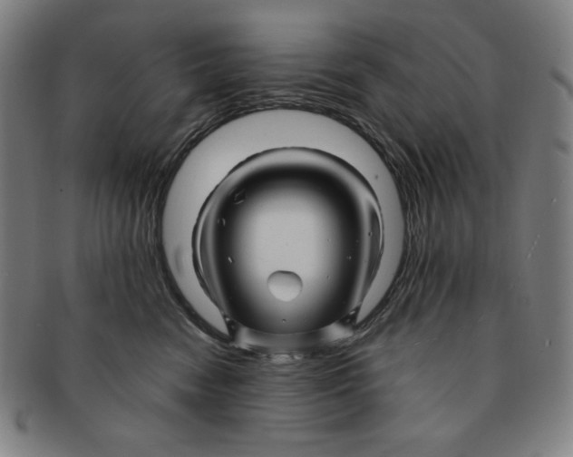 X0000090960474200708301207