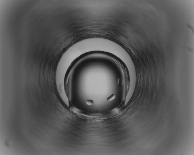 X0000090960476200708301207