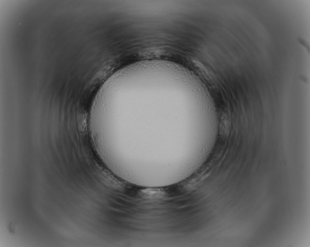 X0000090960477200708301207