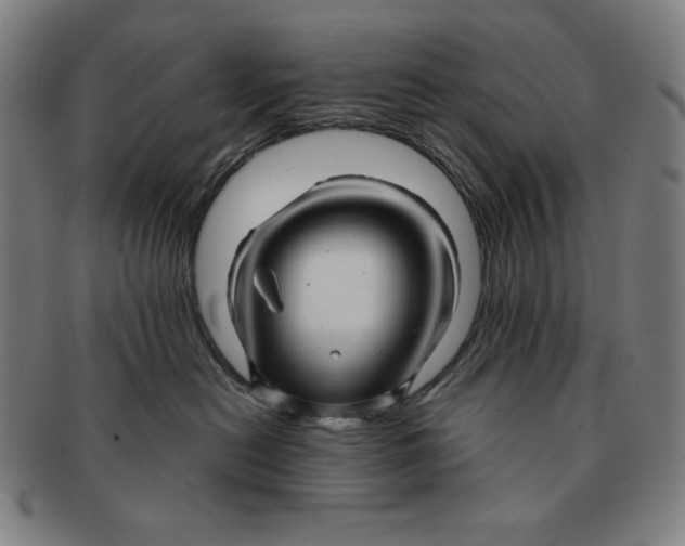 X0000090960478200708301207