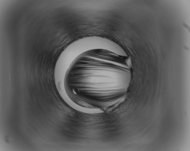 X0000090960480200708301207