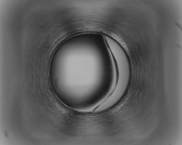 X0000090960481200708301206