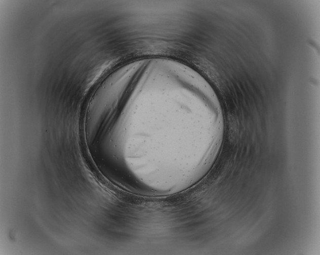 X0000090960482200708301206