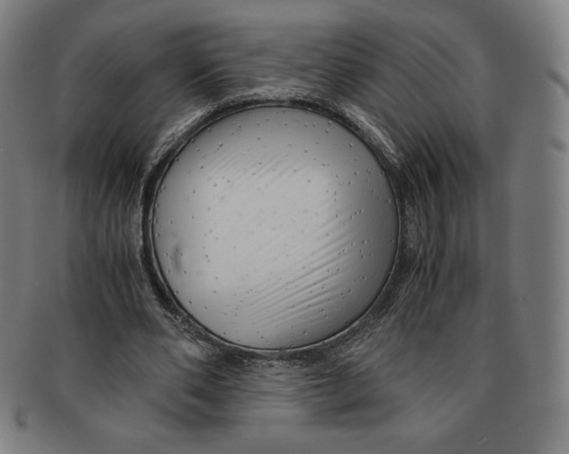 X0000090960486200708301206