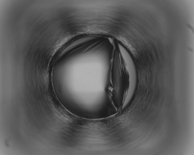 X0000090960488200708301206