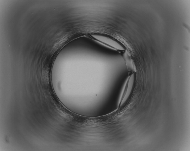 X0000090960489200708301206