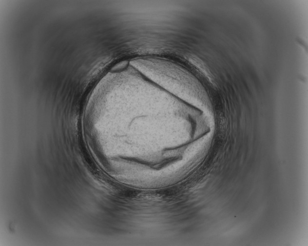 X0000090960491200708301206