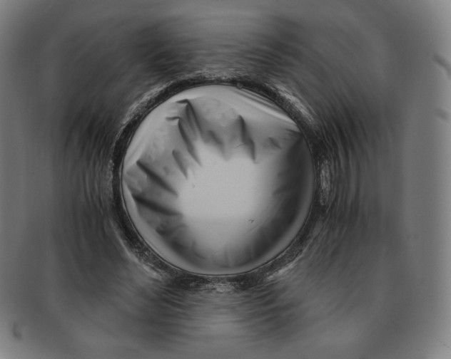 X0000090960492200708301206