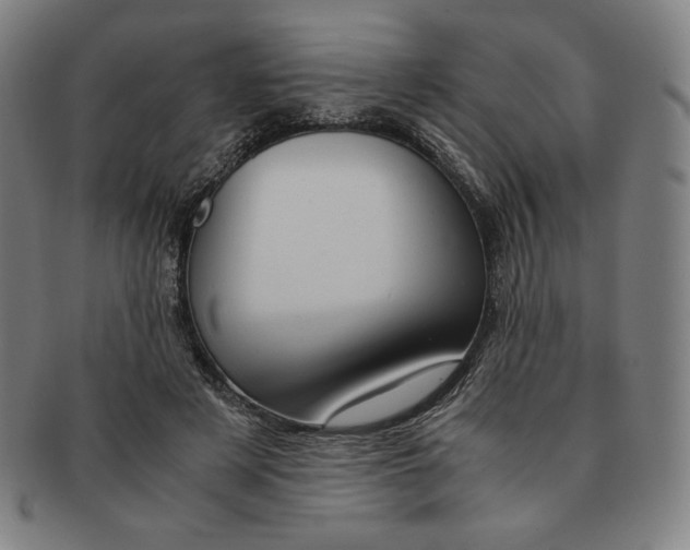 X0000090960497200708301206