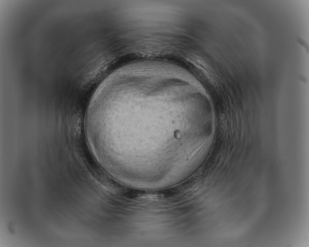 X0000090960499200708301206