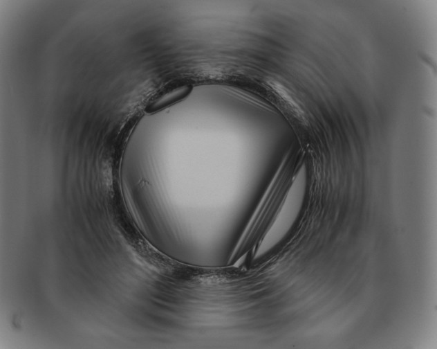 X0000090960500200708301206