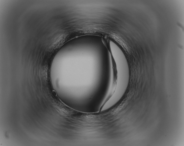 X0000090960501200708301206