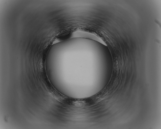 X0000090960508200708301206