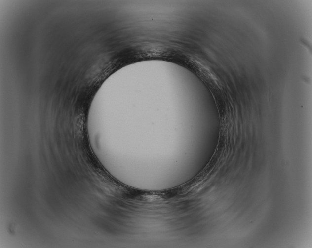 X0000090960509200708301206