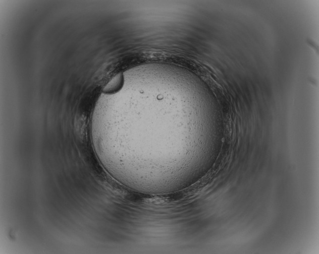 X0000090960511200708301206