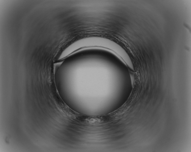 X0000090960512200708301206