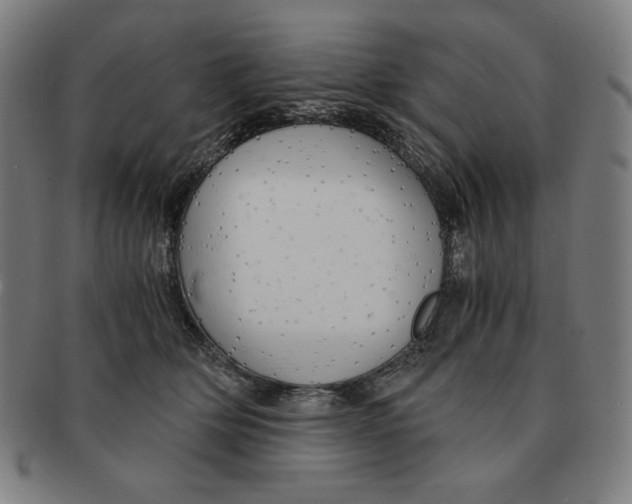 X0000090960514200708301206