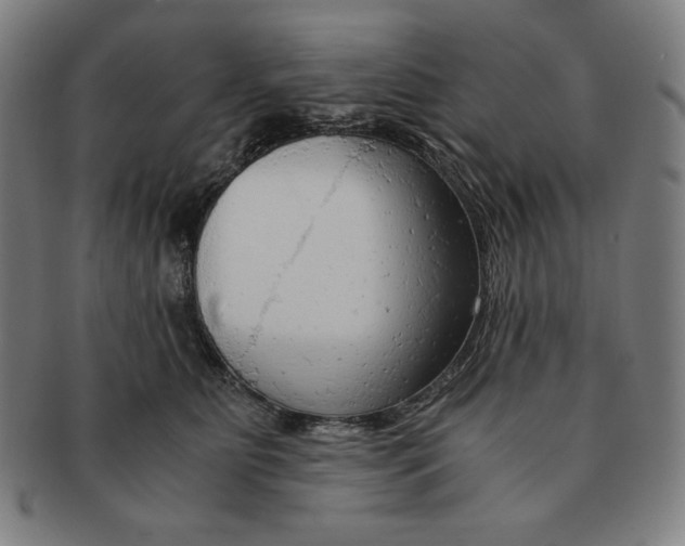 X0000090960515200708301206