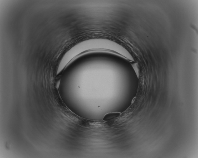 X0000090960516200708301206