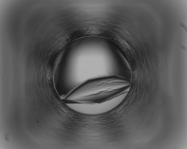 X0000090960517200708301206