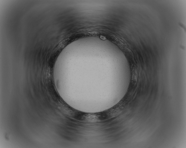 X0000090960518200708301206