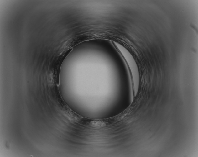 X0000090960520200708301206