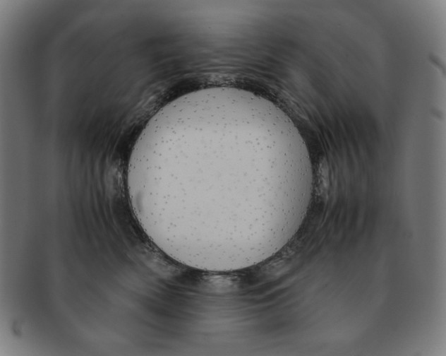 X0000090960522200708301206