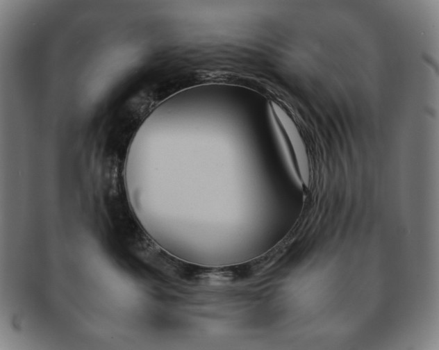 X0000090960525200708301206