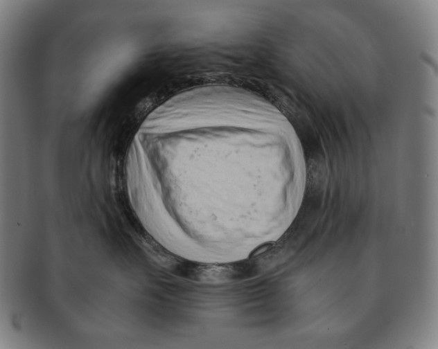 X0000090960527200708301206