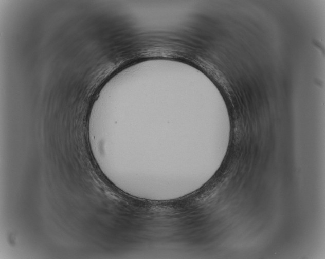 X0000090960529200708301205